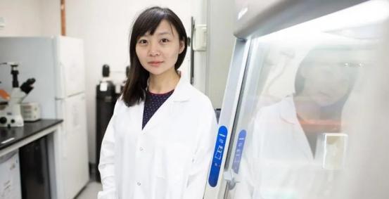 “猪心换人心，你愿意吗？”2022年，美国的医生将一颗猪心脏移植到一名患者体内，