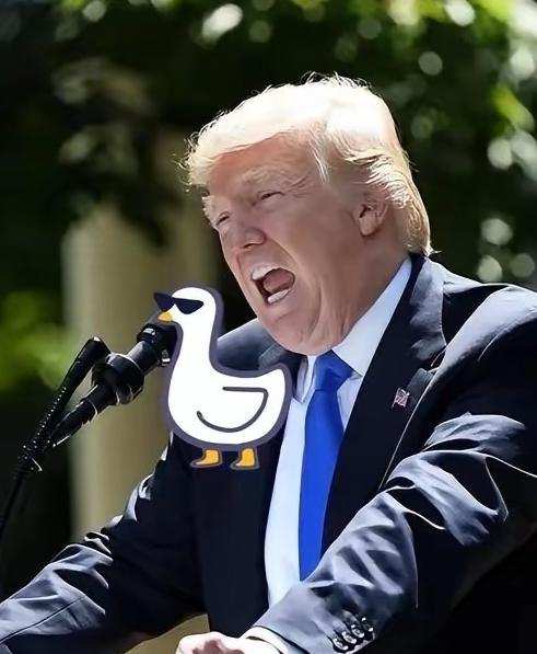 美国承认了，美军自己承认了，说已经打击了伊朗超过1.3万个目标，还弄坏了155艘