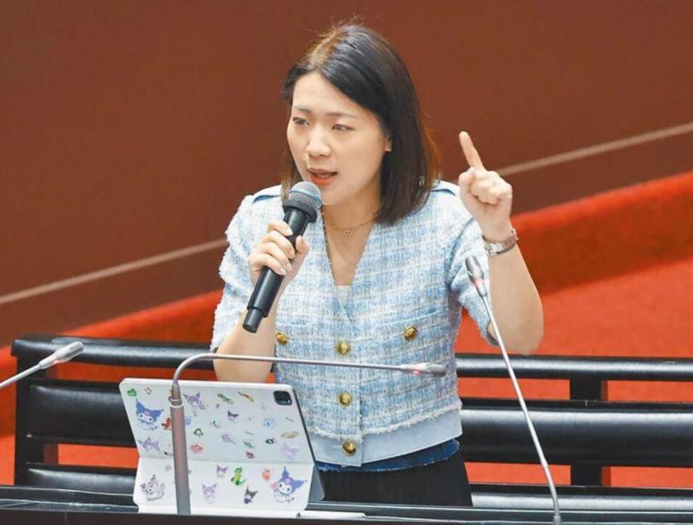 马英九嫡系、国民党“立委”徐巧芯公开喊出坚决反对“台独”，反对赖清德当局在国际上