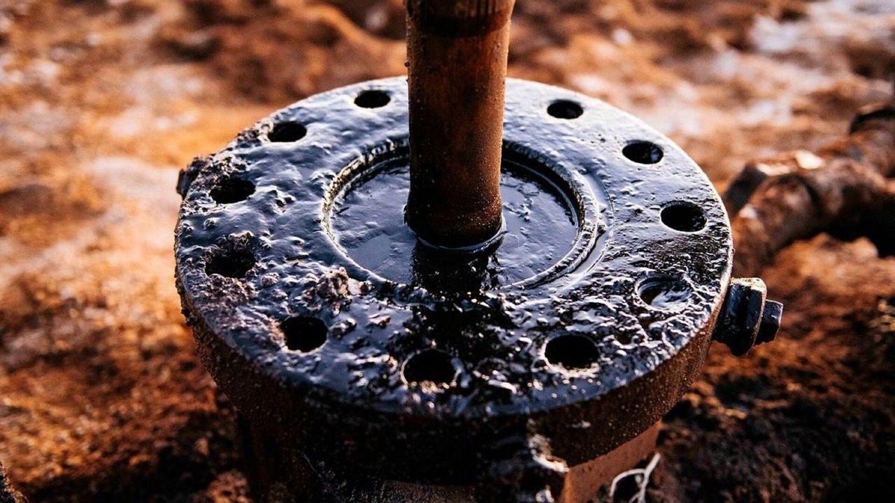 伊朗迈赫尔通讯社：伊朗外交部认为美国企图借助推迟打击的决定降低能源价格

俄罗斯