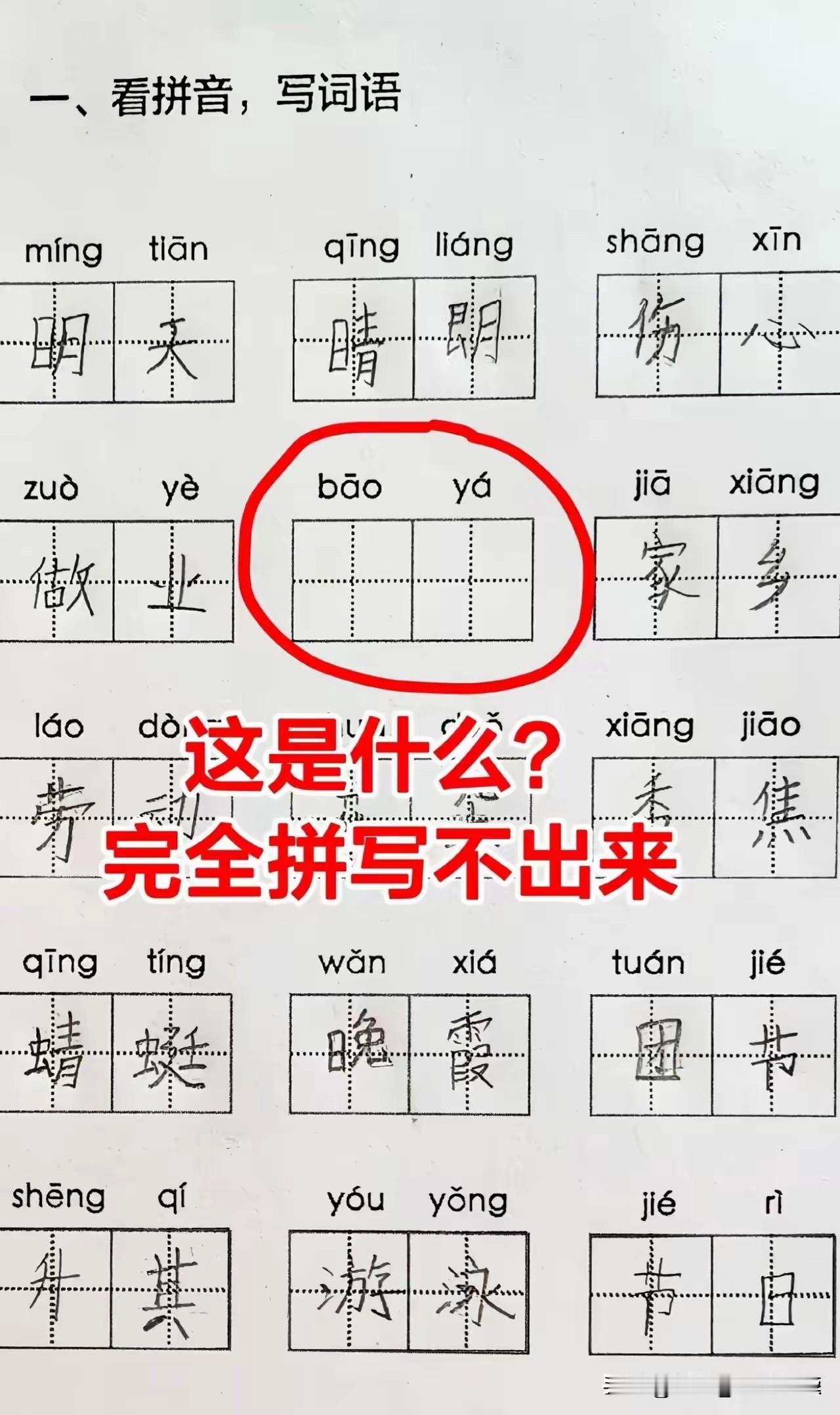 那个圈圈里的词语是孢牙吗？