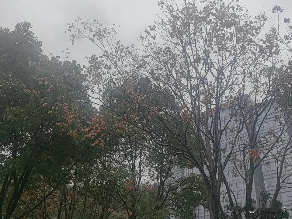 钱让我明白，社会很现实，没钱寸步难行。眼界和见识往往建立在花钱基础上，所以得努力