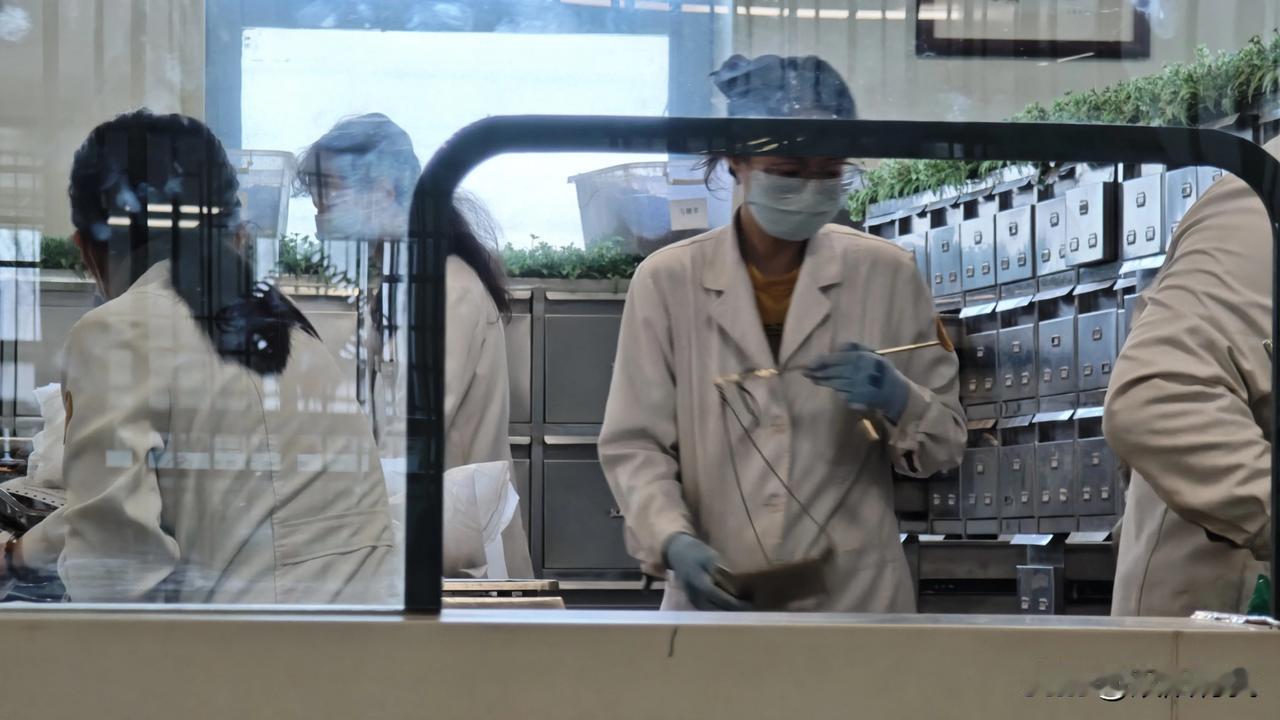 今天去了长春市某中医院，看见药房抓药的工作人员用盘称称草药，时代在发展，为什么不