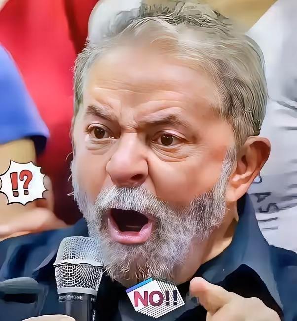 巴西对华新消息！12月3日，巴西外贸委员会正式宣布，取消对中国义乌华鼎锦纶公司尼