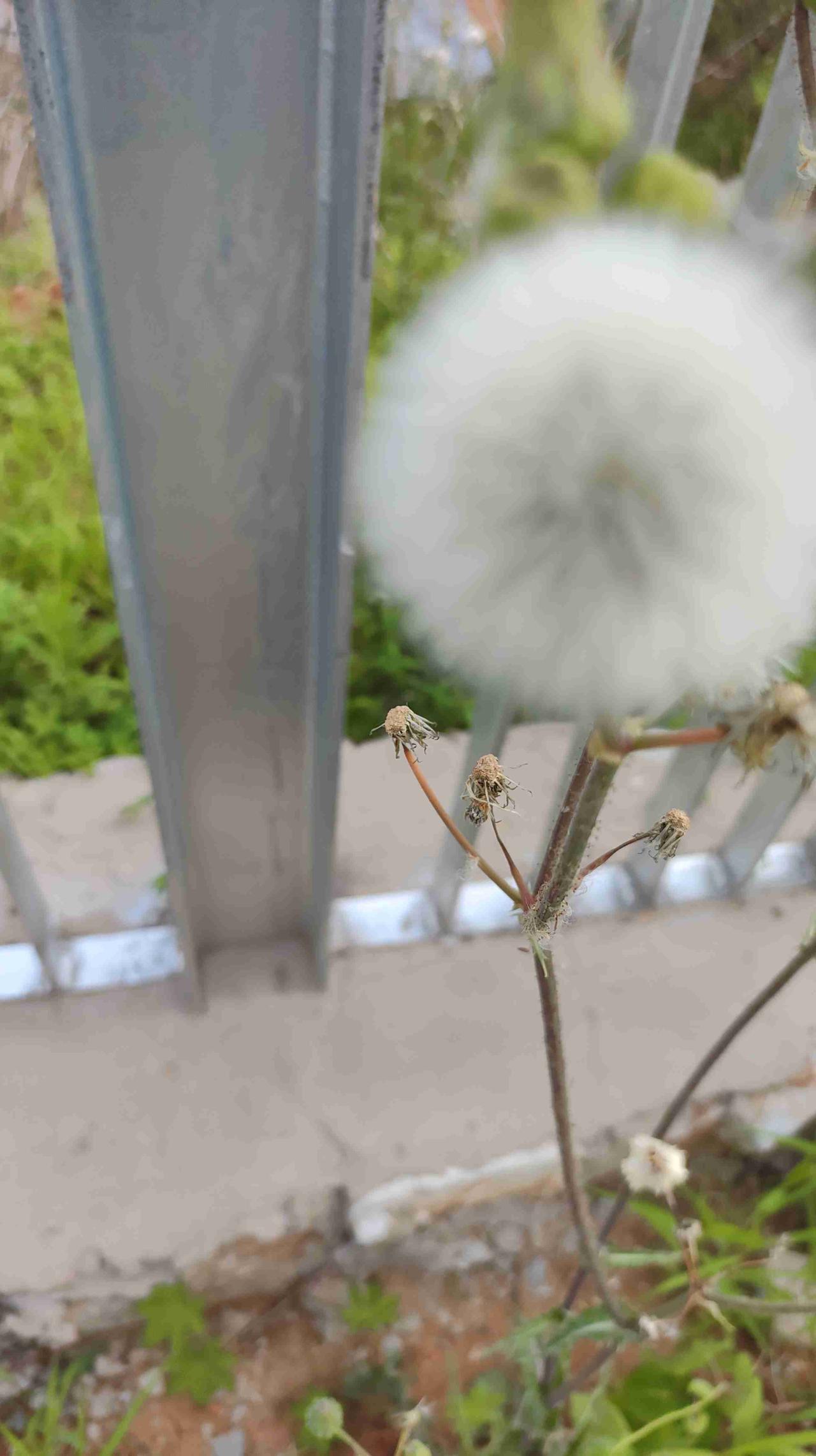 我的今日状态：💰期待暴富
我这里的天气：🍂微风