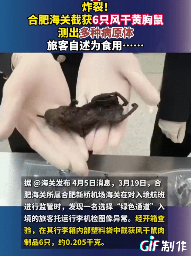 合肥海关在入境人员行李箱里发现带有各种传染病毒的风干鼠肉，入境乘客居然说这些带传