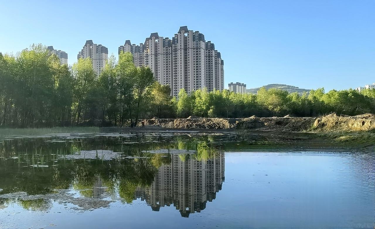 城市绿洲，静谧湖畔，高楼倒影，野鸭成双，悠闲自在，自然与现代的完美融合。