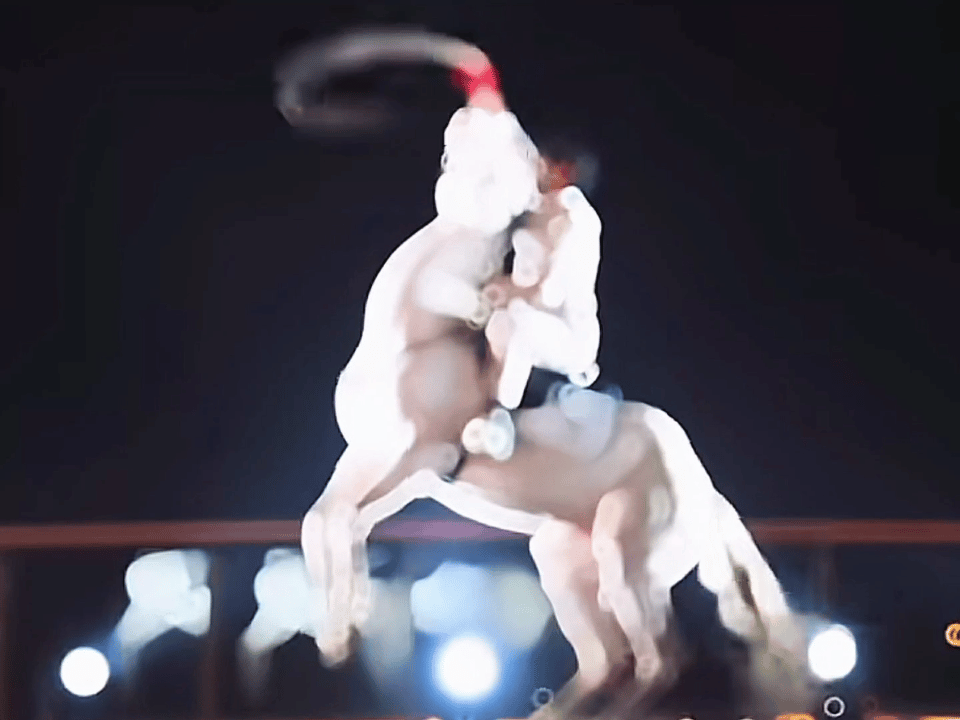 周末准备去野骑吗