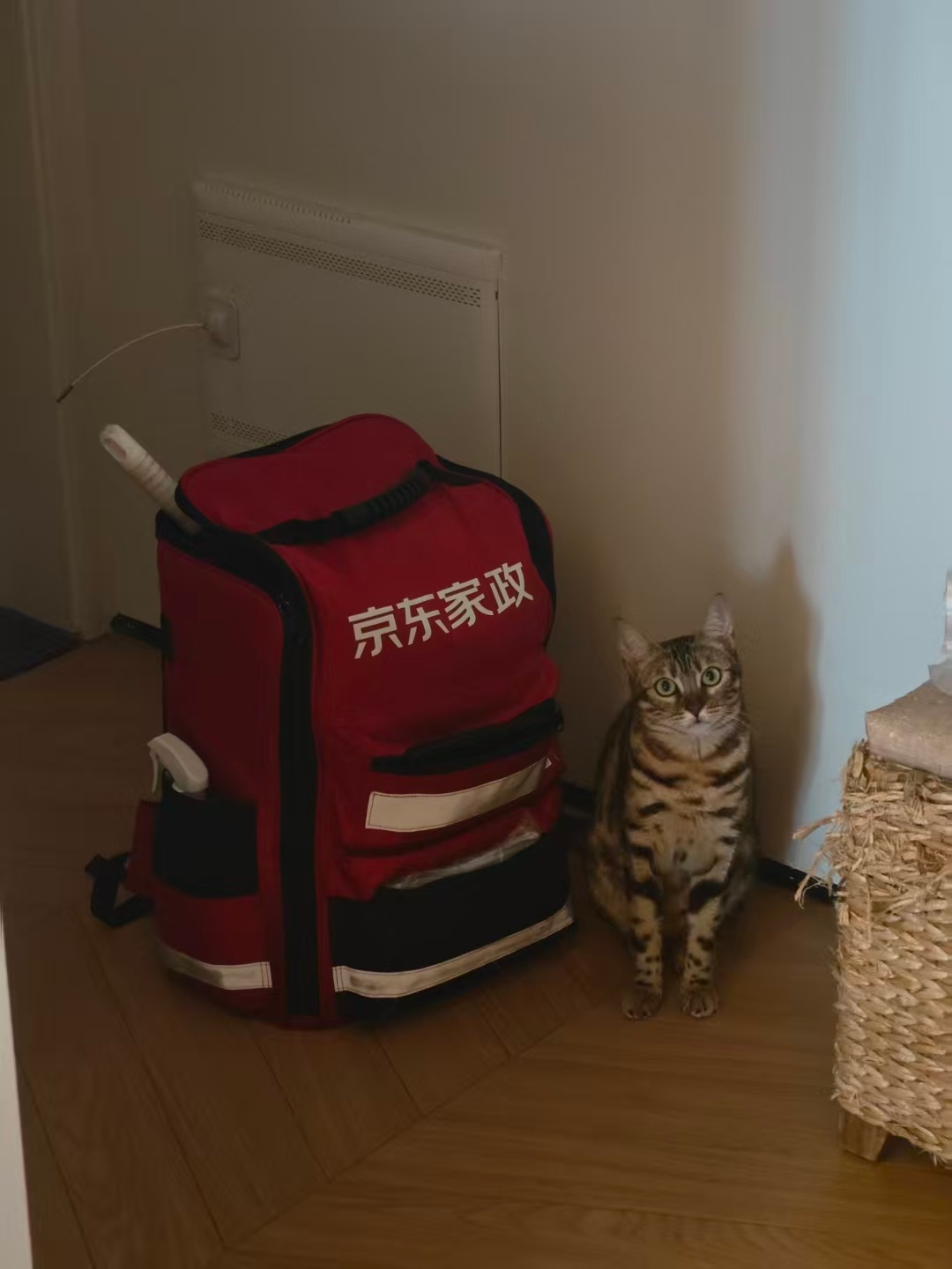 您好，我是您的家政小帮手 