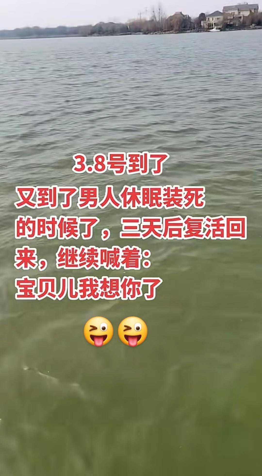 哈哈哈，🤪🤪就想说点大实话