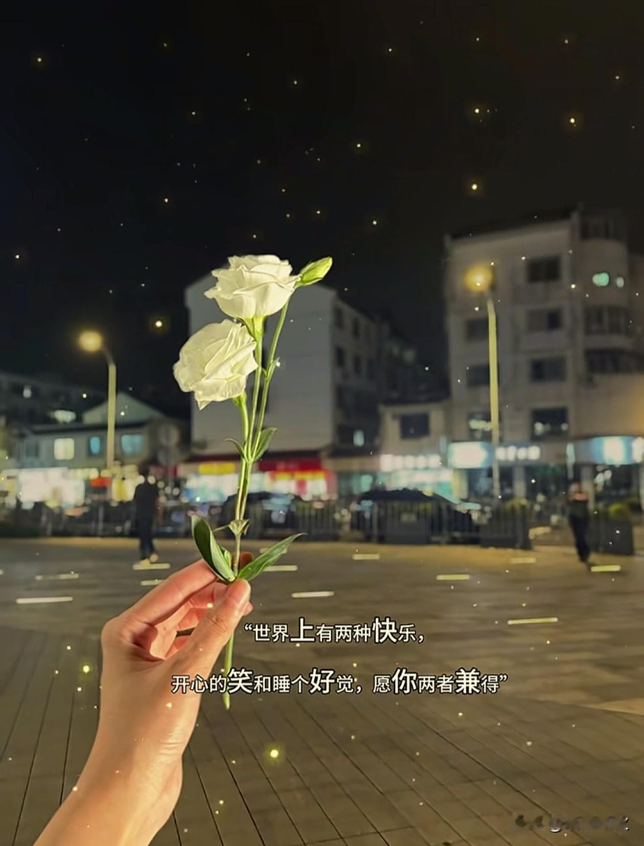 ᦦ້ᮨ꯭໌   ˗ˋˏ ♡ ˎˊ˗ ·𝒘𝒐𝒓𝒌𝒊𝒏𝒈  𓀨
﹊﹊