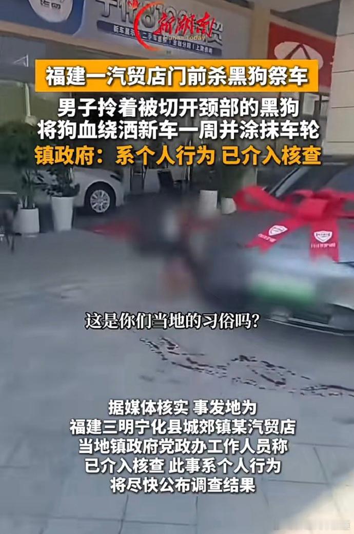 胖哥汽车频道[超话] 当地回应男子杀黑狗祭新车 ？？？我不理解。福建一汽贸店在门