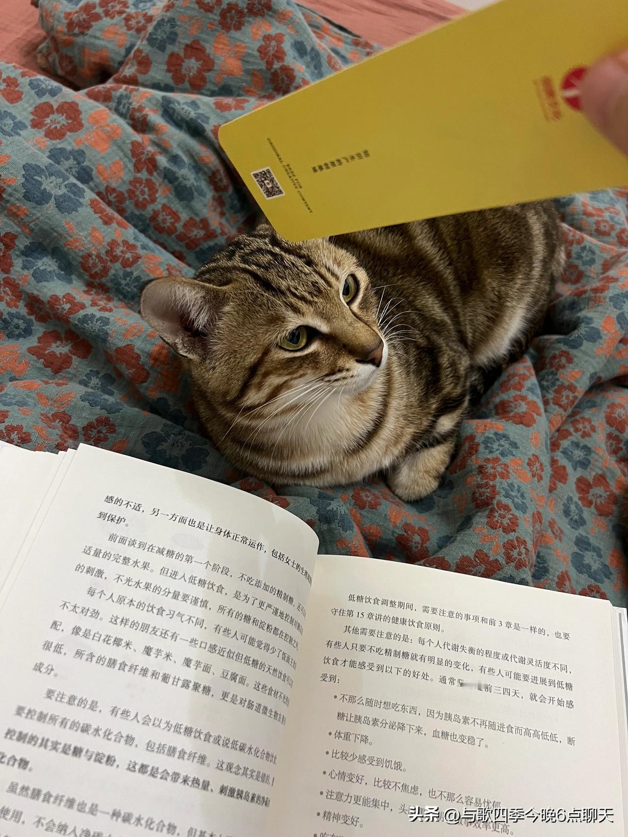 今天小公猫估计发情了，尿在我主卧的床上，还好，那个味道我没那么难接受。

因为小