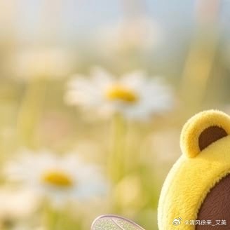 阳光信用  ☀️阳光信用【hu动指路 不吞必hui 不带🔗 勿带hui字，带h