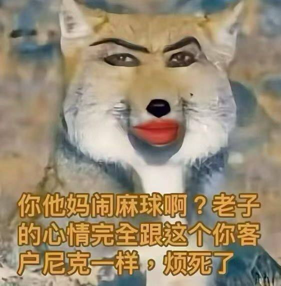 分享图片 ​​​