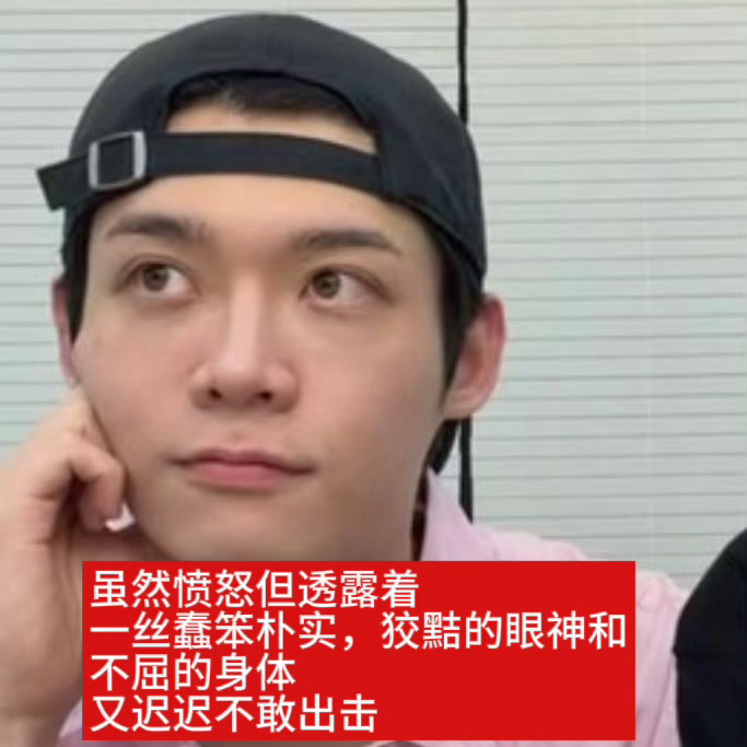 我们需要更多表情包 