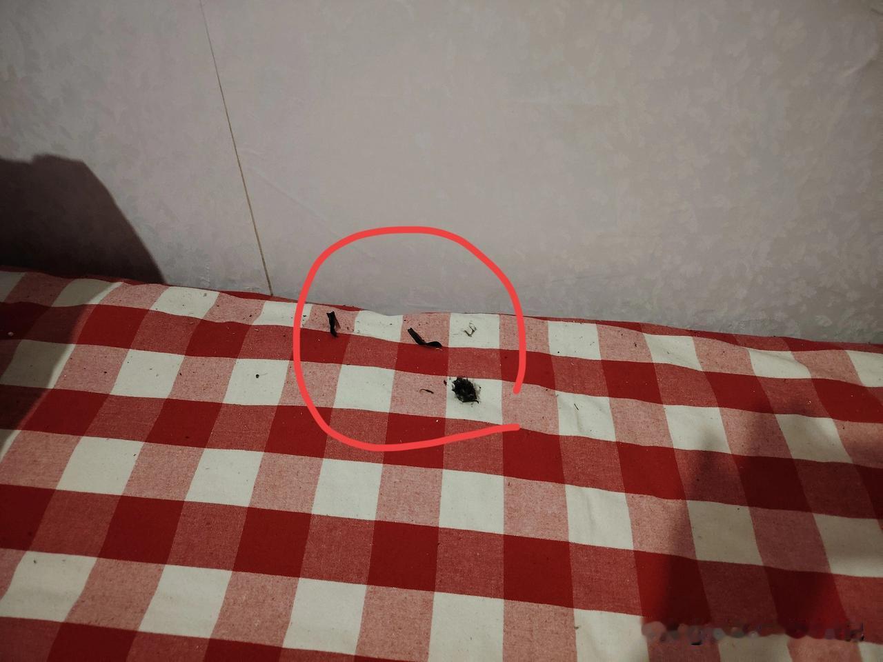 东营火车站附近那30元的小旅馆，真是让人一言难尽。之前我就踩过雷，一进屋，那臭气