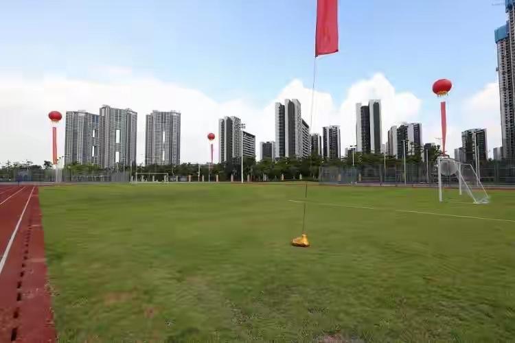 时代周报：广东省过去5年新增2600块足球场，超额完成任务。我觉得打不打你脸了。