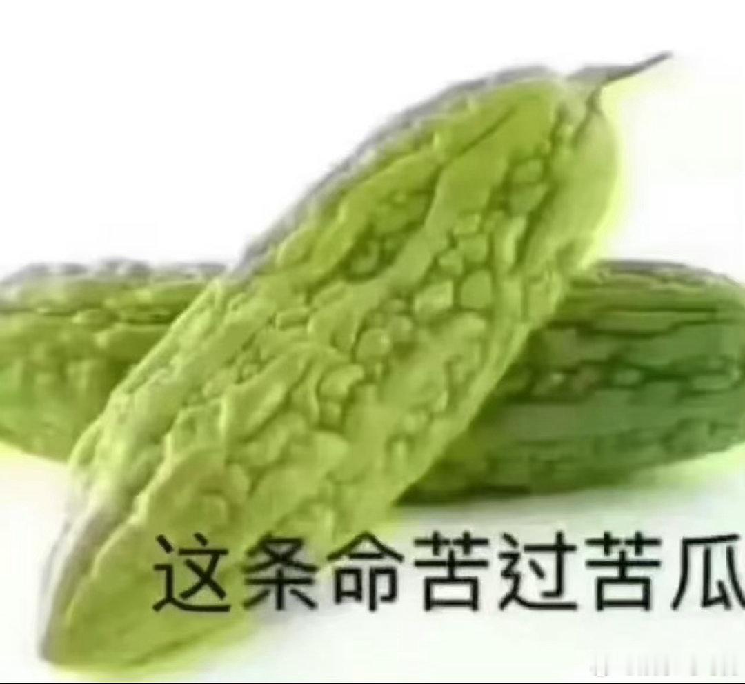 原来吃苦瓜不苦是因为我老了 今日份晚餐，清炒苦瓜。以前只敢蘸着蜂蜜吃，现在能就着