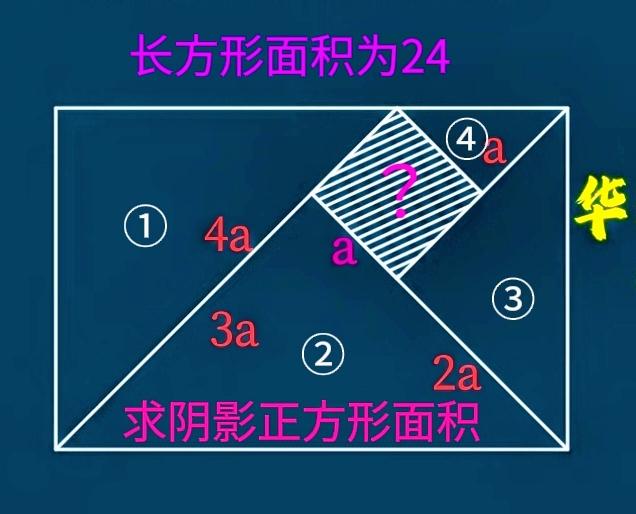 会者不难，难者不会！小学五年级数学拓展题：如图，面积为24的长方形内有4个等腰直