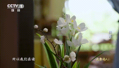 杜甫是唐代纪录片导演吧 哈哈，这个说法真有趣！杜甫用他的笔触描绘了唐代的社会风貌