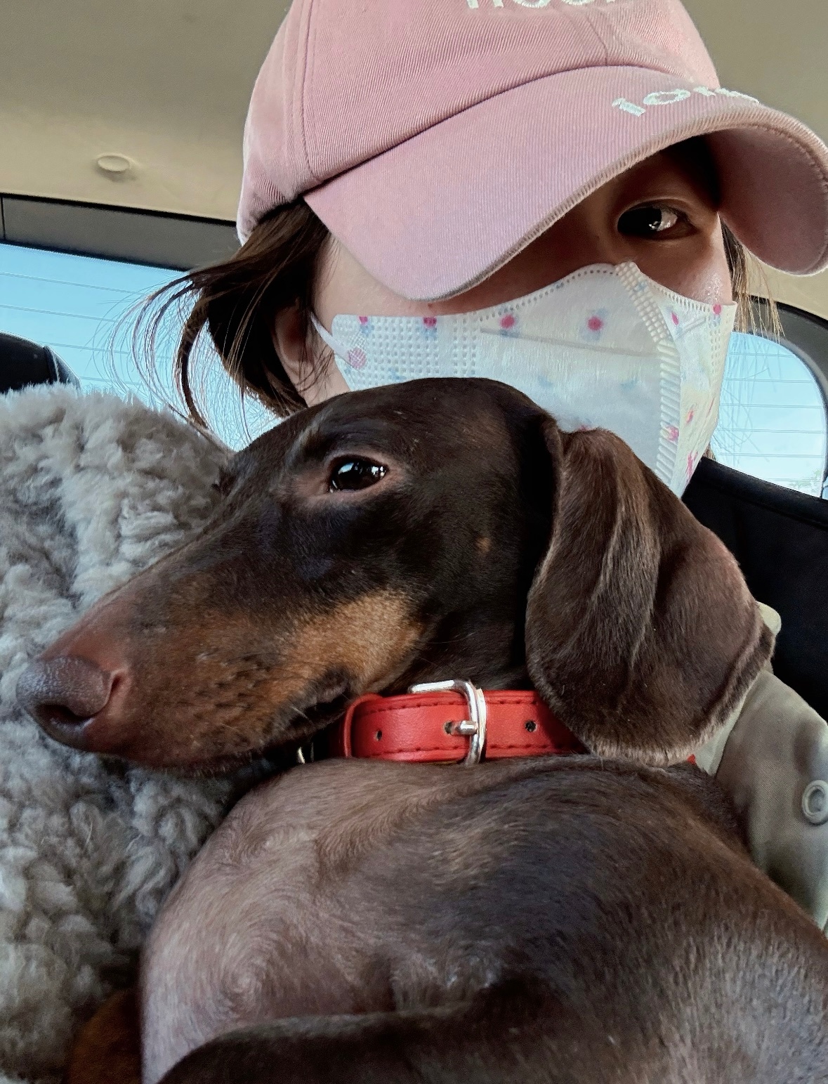 doe是被所有姨姨抱着长大的