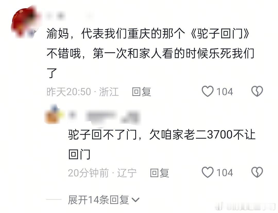 因为重庆大妈到吉林碰瓷吉林大爷3700块钱以后，重庆文旅春晚宣传视频下面就成了这