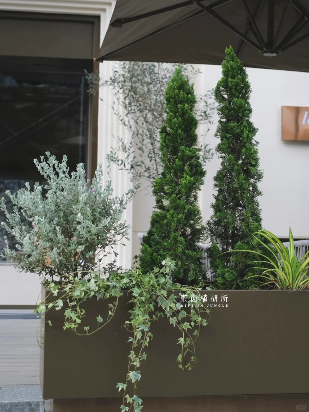 花箱设计| 法式风情的绿植造景设计🍃