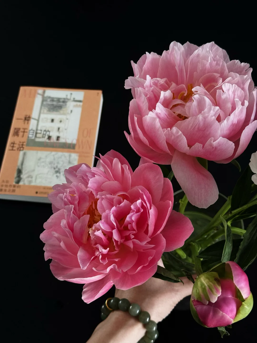 ⁴/₂₇  过属于自己的生活，其他都是其次