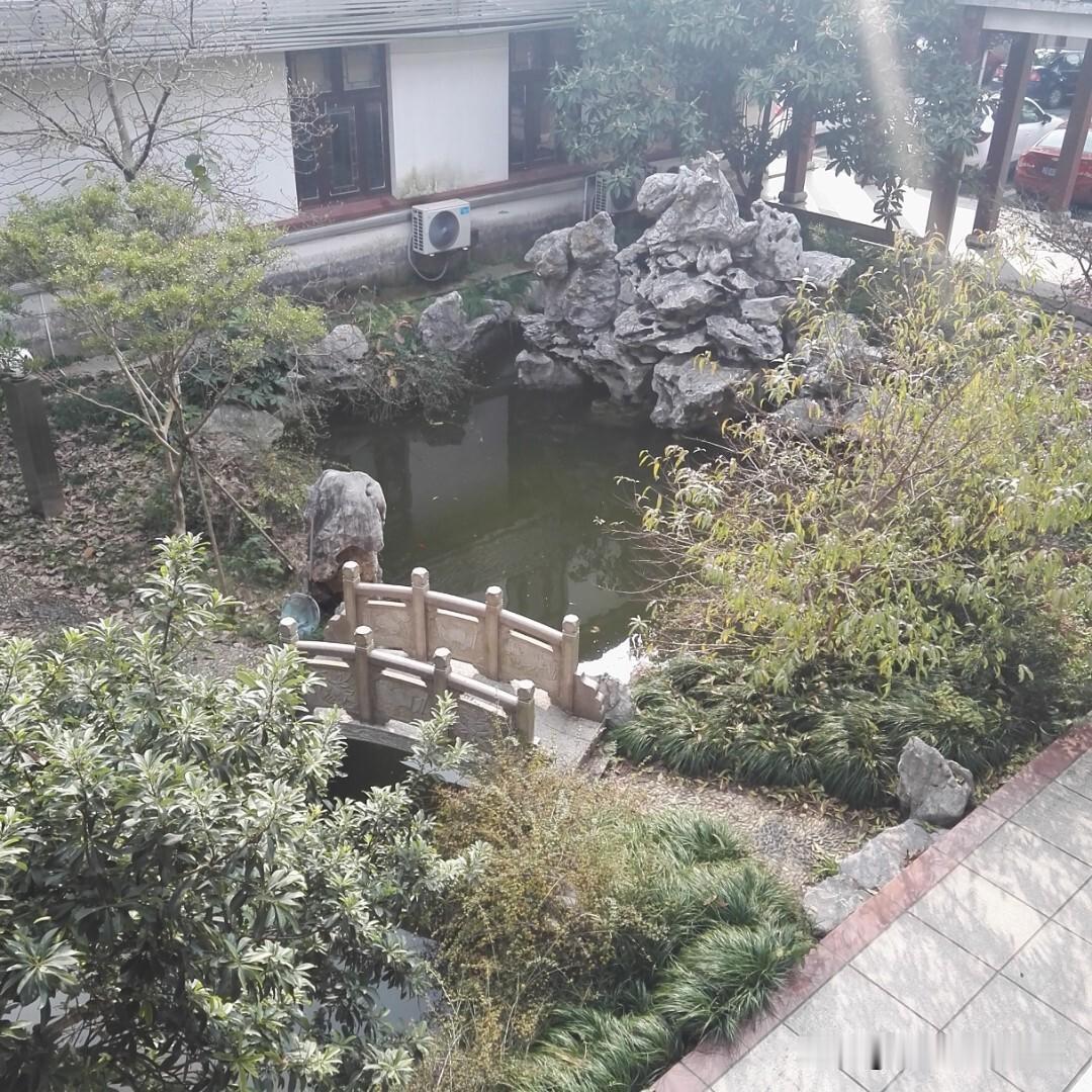 晒图笔记大赛常熟寺路街园林一景。