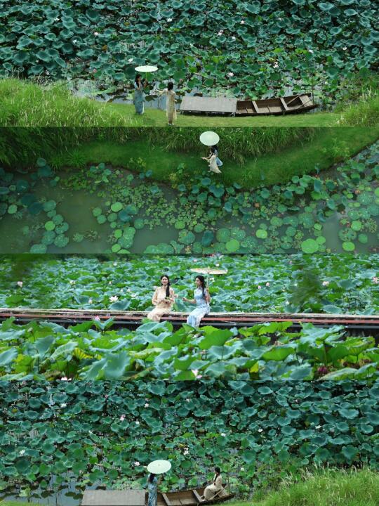 不是江南，是深圳🚅1h达的百年岭南古村❗