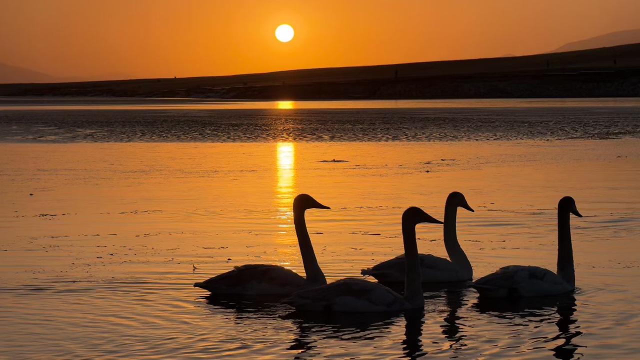 关于劳动仲裁，现在的人非常有法律意识[赞]

听到的一件事。有个厨师在一个餐厅没