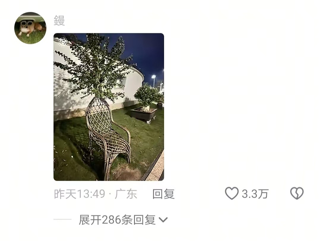 原来园林人还要学编织手艺 
