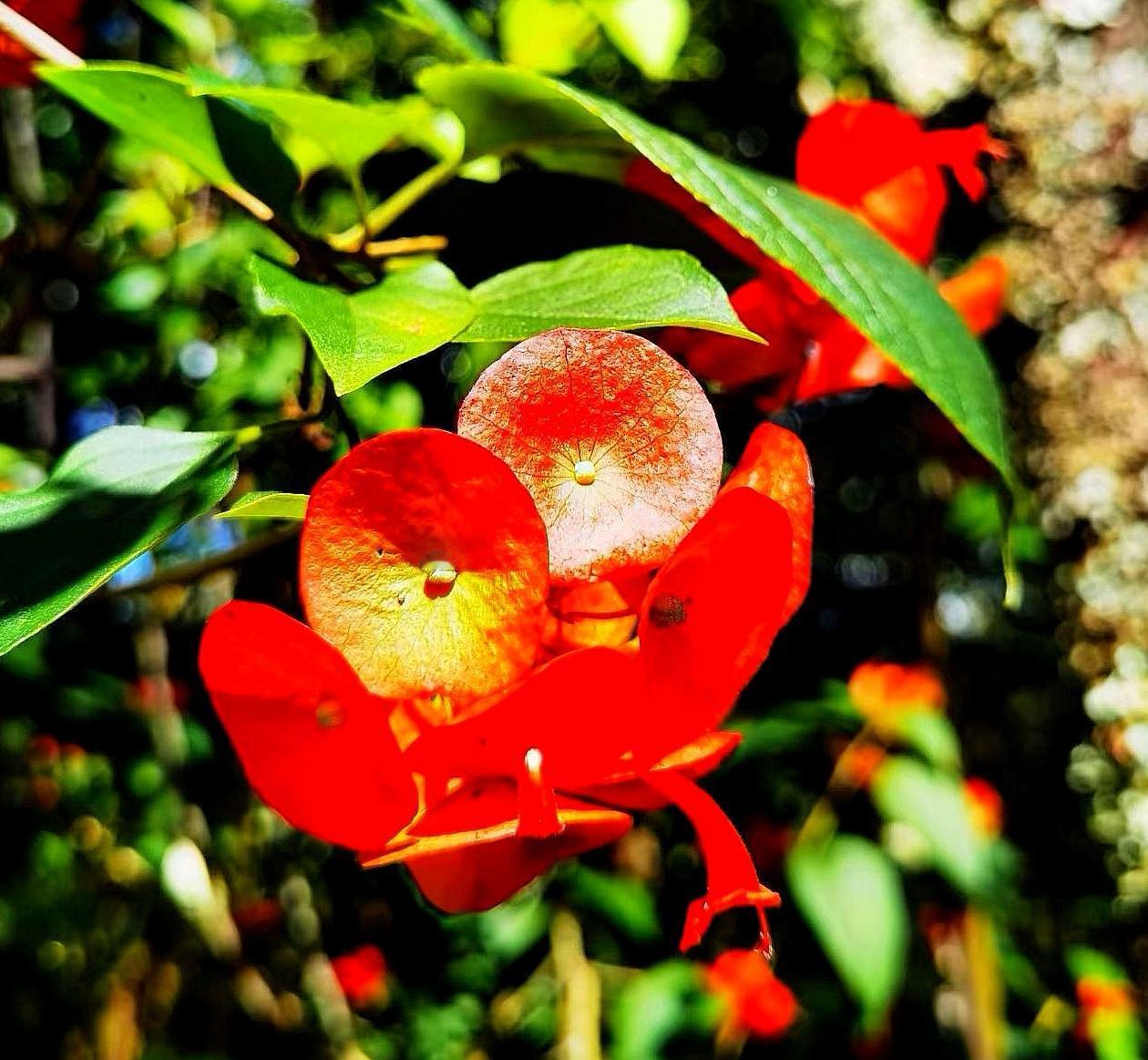 这几天，不是正在接待别人，就是正在被别人接待中。
过春节，可能被上班累多了。
可