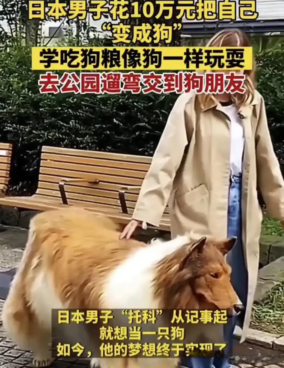 【 】
 跟我们无关，完全就是他不小心“进化”回原来物种🤣。      我们的