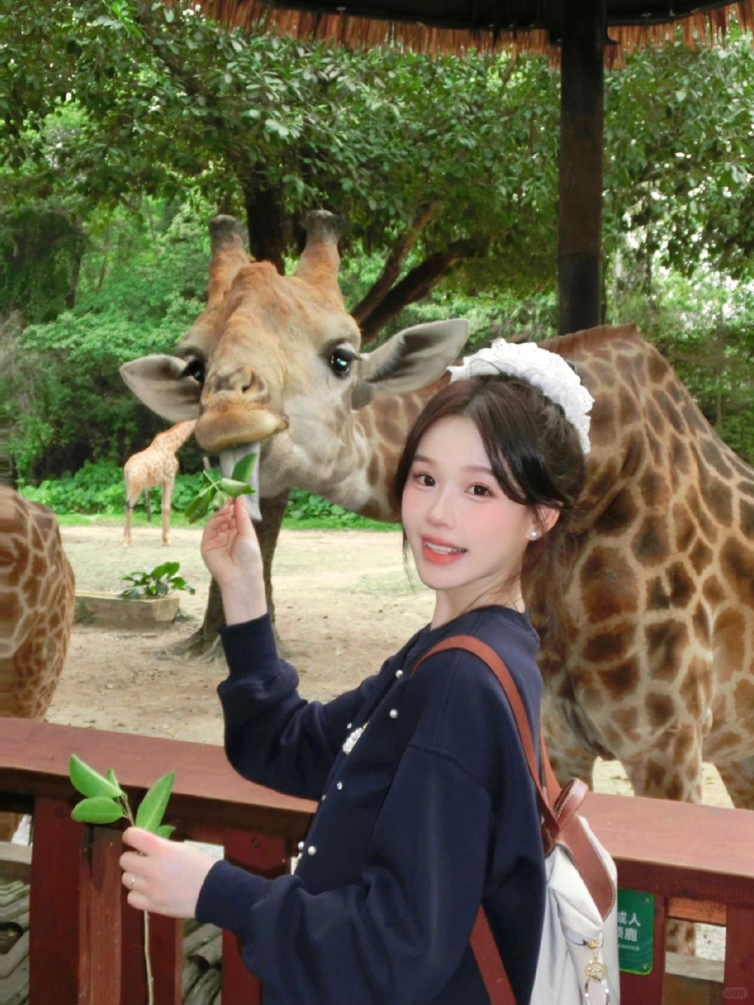 好喜欢动物园aaaaaa🦒🦒 🦒 .ᐟ.ᐟ