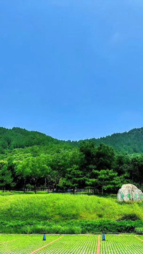 [助威彩旗]静谧田园风光，绿意盎然，心旷神怡。