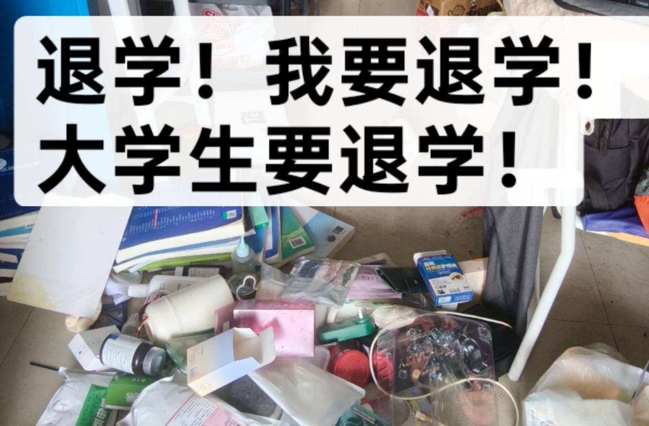 退学！我要退学！大学生要退学两年前第一次出远门3000多公里，走近广西百色，是送