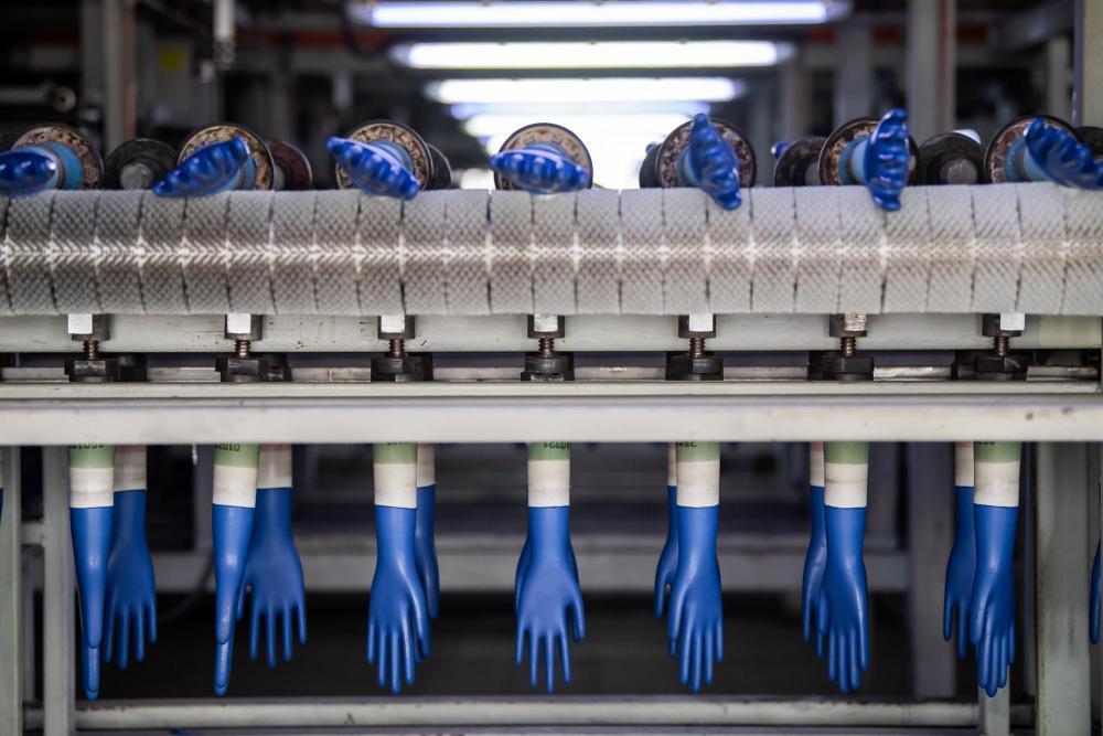 位于马来西亚的全球最大避孕套生产商以及一家全球知名橡胶手套生产商24日都表示，由