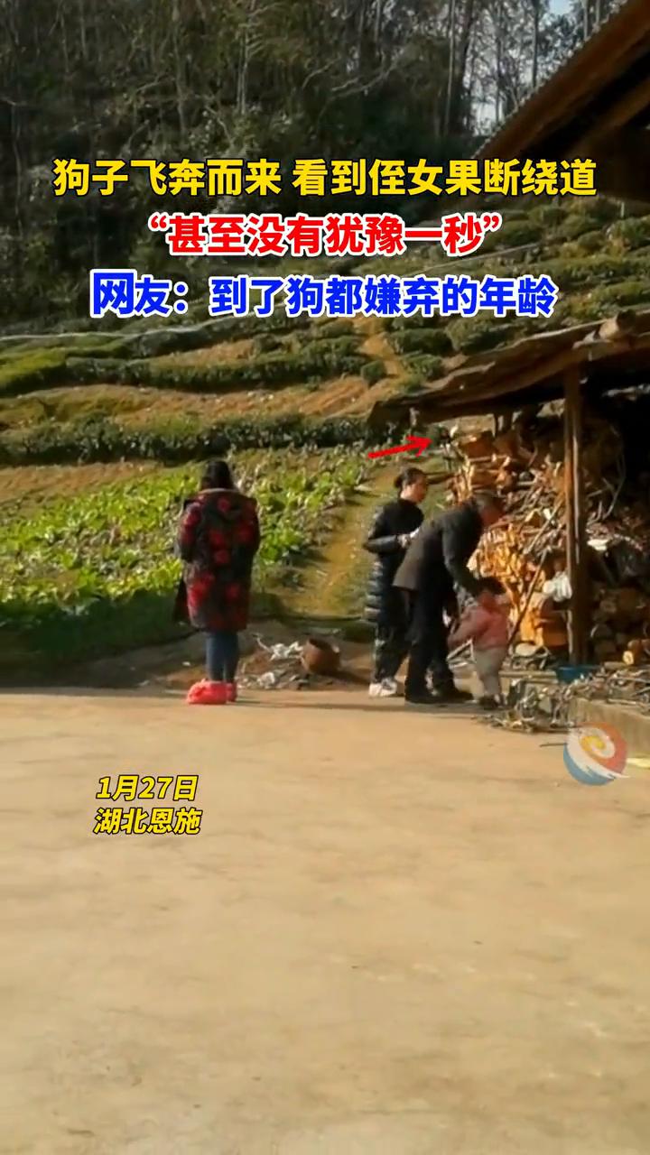 狗子飞奔而来看到侄女果断绕道，甚至没有犹豫一秒。
网友：到了狗都嫌弃的年龄。
1