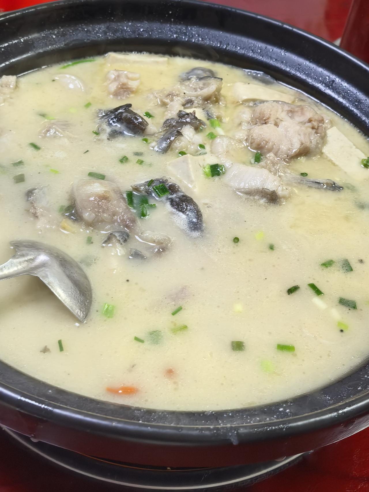 宜昌肥鱼名不虚传。晒图笔记大赛旅行美食 4月10日入住宜昌。安顿好住宿之后，作为