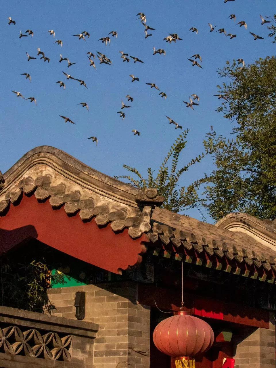 “这辈子，能大半夜从被窝里爬起来，给你倒水做饭的人，除了妈妈之外，也就剩下爱你入