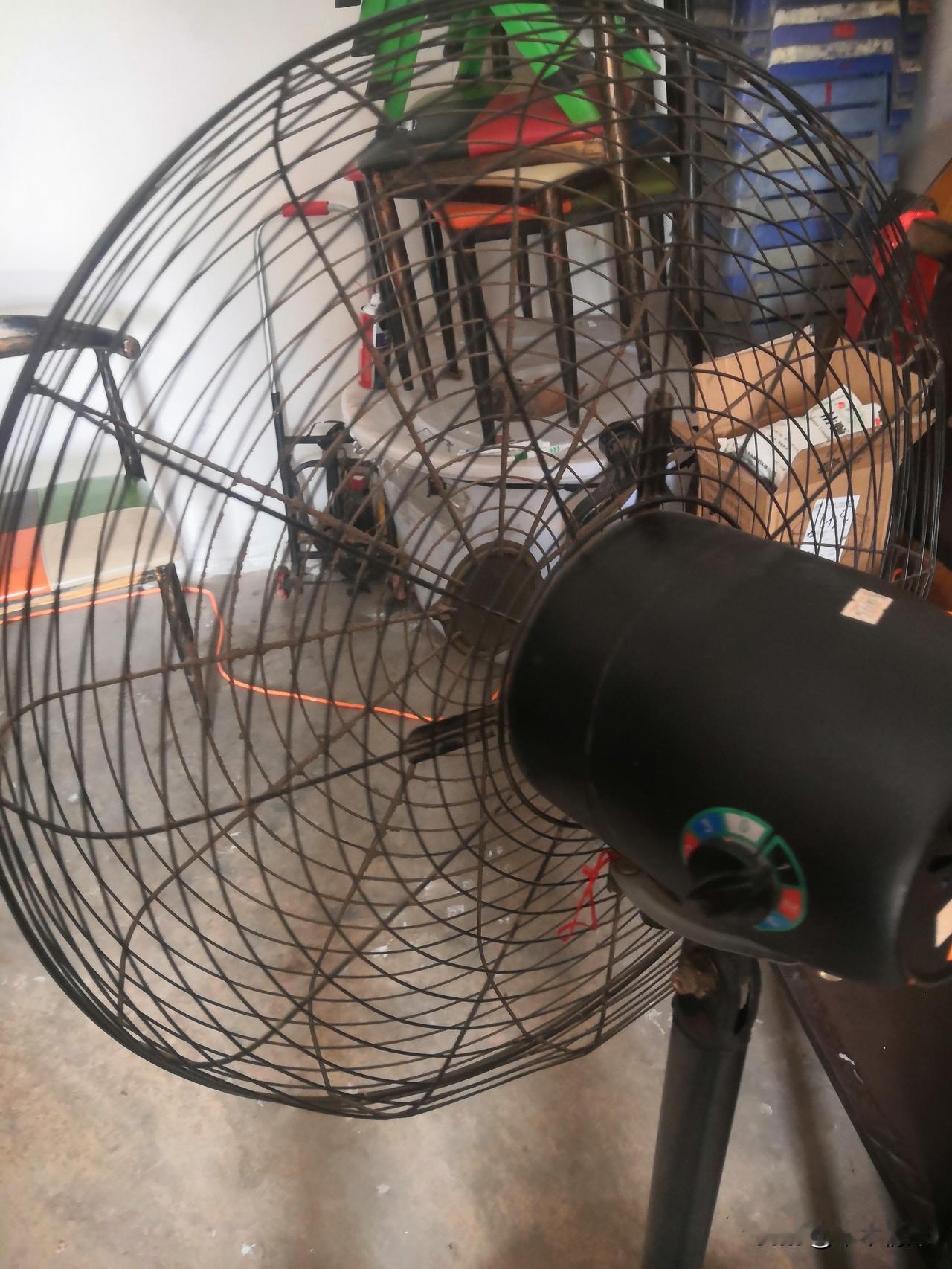 夏日炎炎，风扇简直是救命神器。超市里，风扇成了销售主角，不仅款式多，还提前一个月