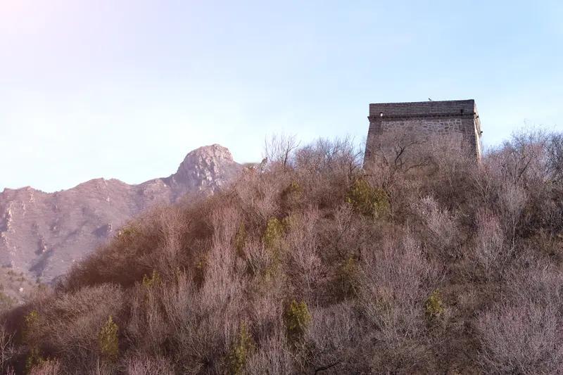 AI妙生图長城内外，黄河两岸，大江南北红红火火迎马年。