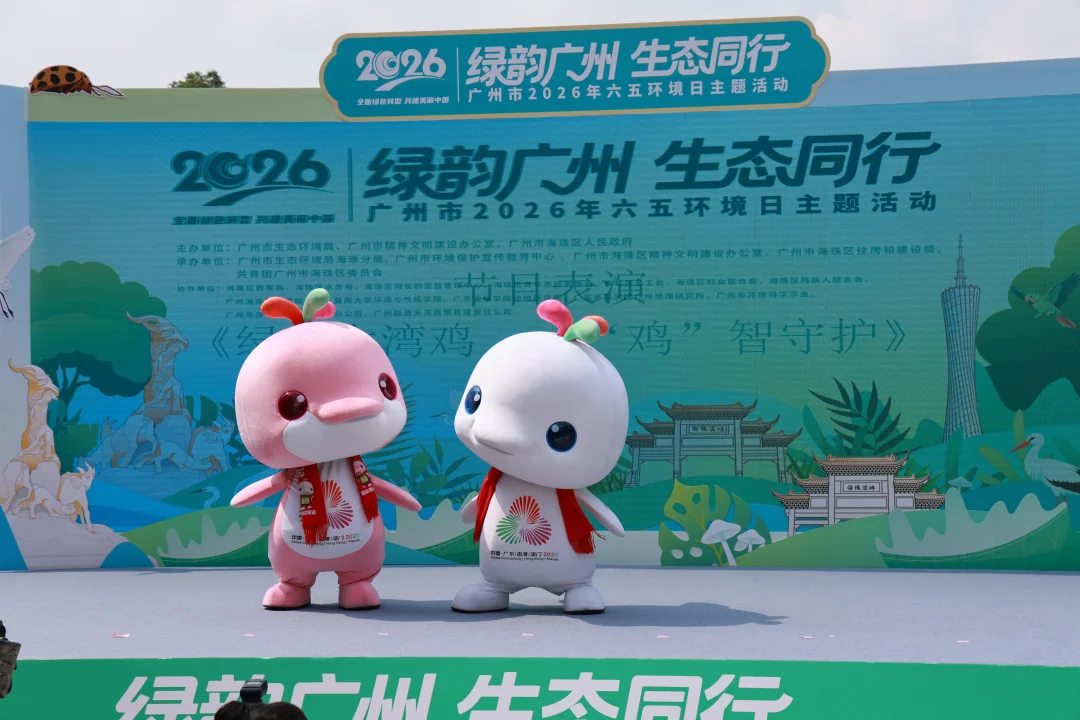 大湾鸡来撑场！