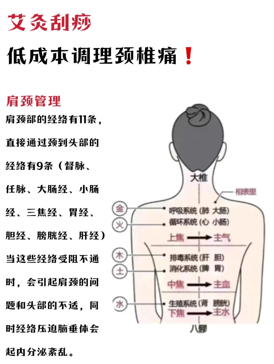 【头前倾】低头族的自救攻略来啦💕