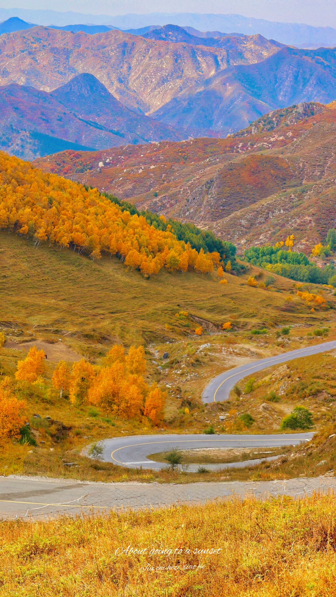 9.28🍁北京赏秋第❷站！京郊秋色已悄然上线