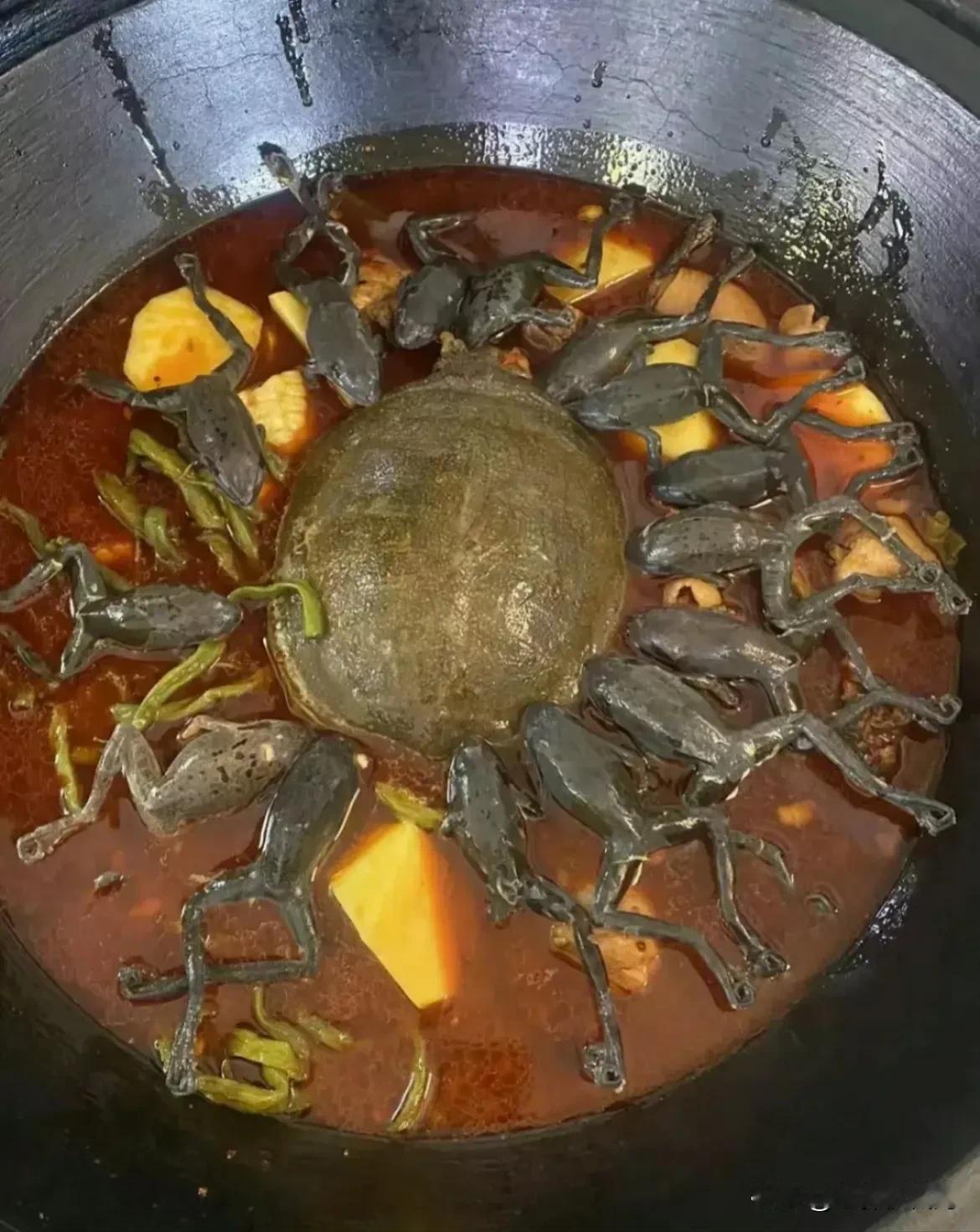据说这是东北招待客人的天花板，我已经试过了，确实是心里压力和味道是成正比的[泪奔