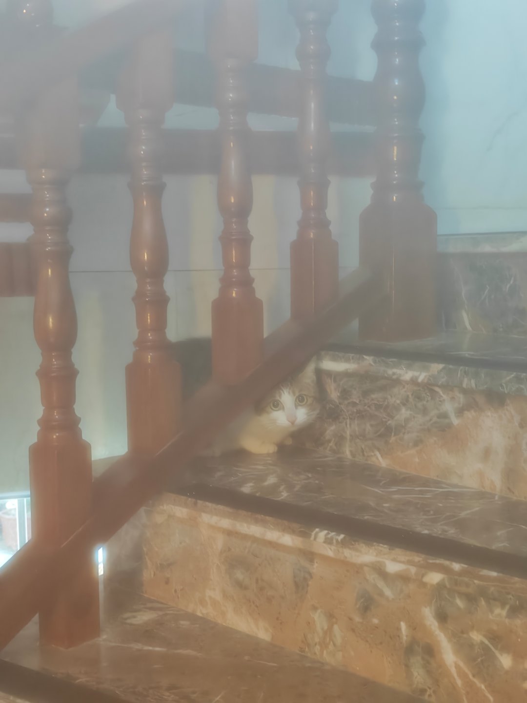 完啦，17Pro进水蒸气了后面屏幕不亮了