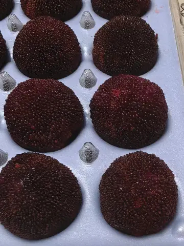 杨梅目前这个价啊刚刚吃了六颗，一碗